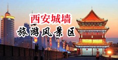www.yichangheng.cn中国陕西-西安城墙旅游风景区